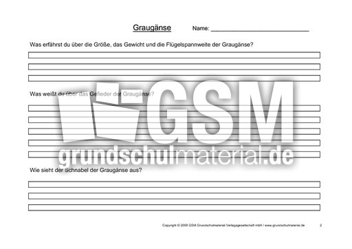 Arbeitsblatt-Graugänse-2.pdf
